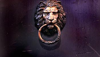 Lions Head Door Knocker ( Black & Brown)